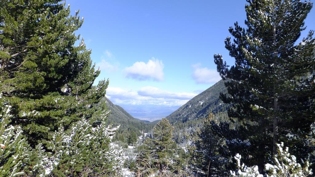 Bansko Prespa Ski Penthouse חדר תמונה